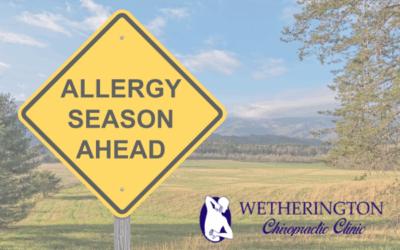 Summer Allergies & Sinus Pressure? Chiropractic May Help!