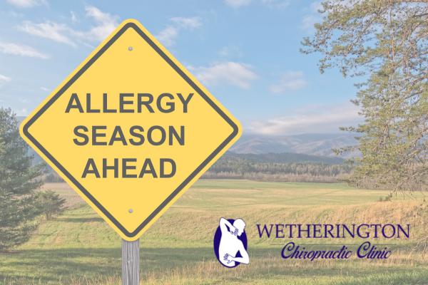 Summer Allergies & Sinus Pressure? Chiropractic May Help!