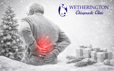 How to Combat Holiday Travel Pain: Chiropractic Strategies for Visiting Family