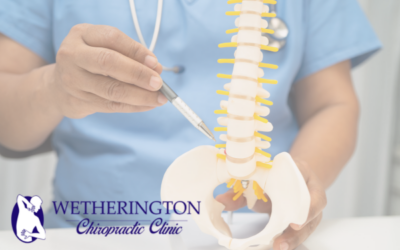 Sciatica Treatment in Pooler: How Chiropractic Care Provides Relief